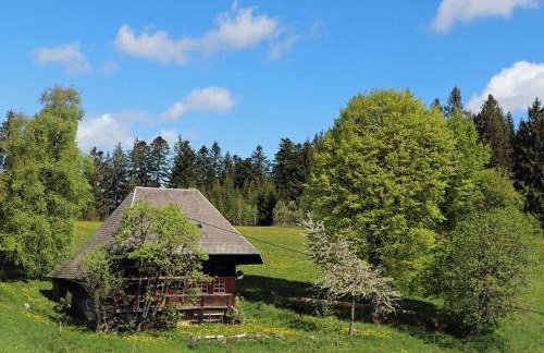 Ferienhütte Biobetrieb Lippenhof - Photo 20