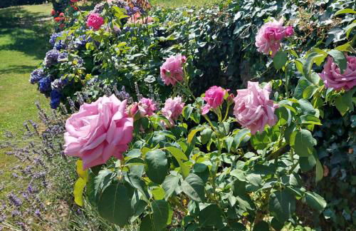 Puente Canto de Gredos - Photo 28