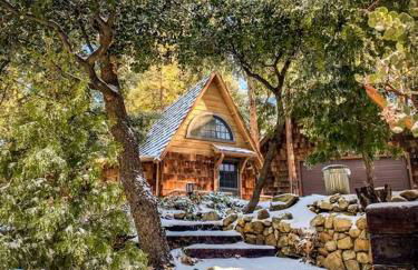 Wildland Zen Den Tiny House Retreat with Fireplace Grill AC Hammock Record Player Musical Instruments Pets OK - Foto 2