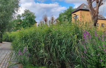 Riverside 1BR with Easy Transport 20min to City Centre - Photo 62