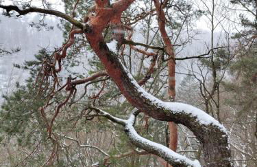 Ferienwohnung zum Hirschgrund - Foto 29
