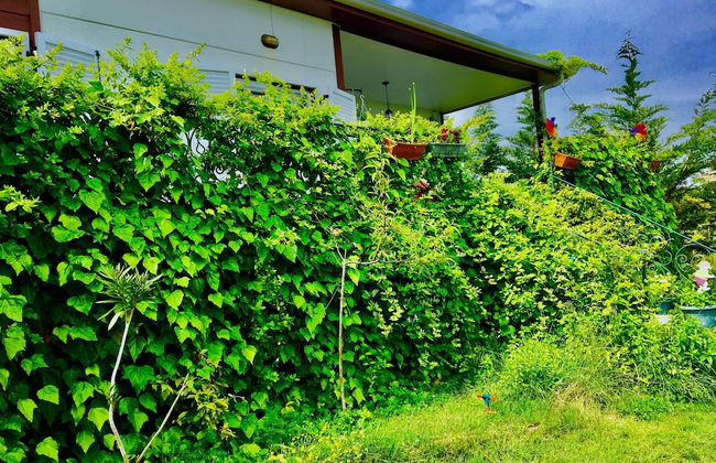 Villa Gudca - Foto 30