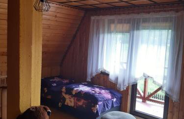 Domek w górach Wioletta - Foto 17
