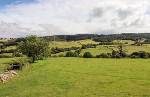 The Stables At Cae Gwyn - Foto 48