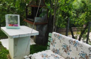 Τα πλατάνια - Foto 21