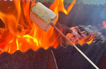 King Richard's Luxury Lodge - Sleeps up to 8, Dog Friendly, Near Sherwood Forest at Fairview Farm in Nottingham set in 88 acres and great for Groups, Family Gatherings & Corporate events - Foto 42