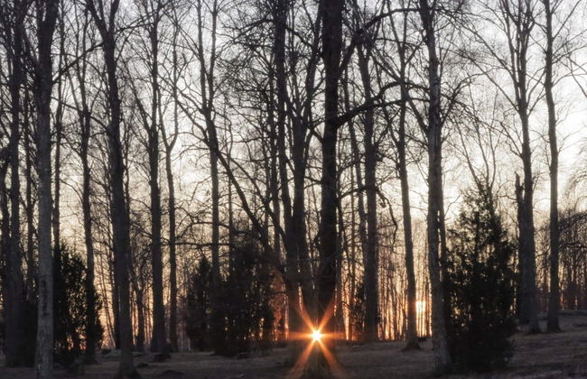 6 Person Holiday Home in Hammaro-by Traum - Foto 10