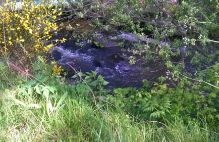 Les Gites de l étang :Studio à 20 mn de Gerardmer - Foto 41