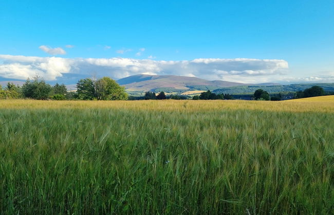 The Coal Office, Aberlour - Foto 13