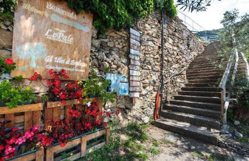 Agriturismo Le Pale - Foto 59