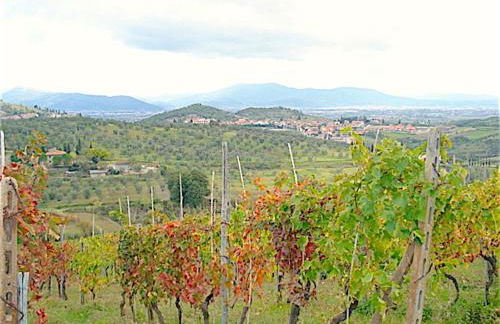 La Solaria - Foto 14