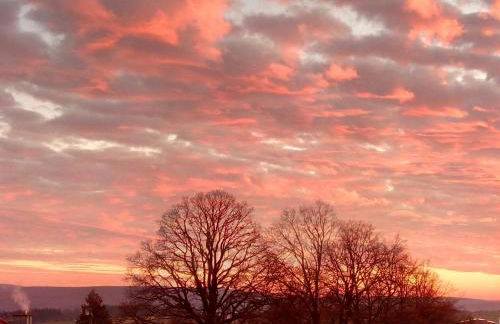 Ferienwohnung Auszeit am Edersee - Foto 12