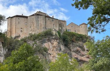 La Maison des Ecureuils - Bruniquel - Foto 35