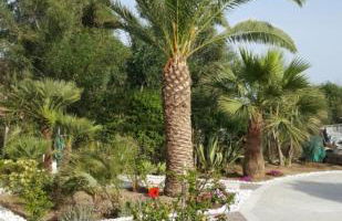 Villetta sullo Scoglio - Foto 26