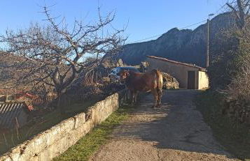 Casa Manuel y Ana María. - Foto 52