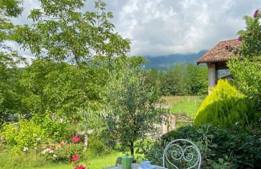 Casetta dipinta Fattoria dei fiori - Photo 31