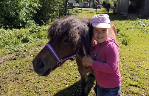 Streidlhof - Foto 41