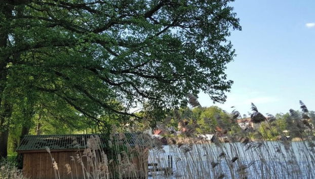 Large Haussee Modern Retreat - Foto 3, Habitación