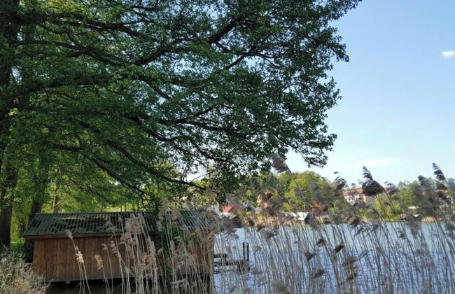 Large Haussee Modern Retreat - Foto 3