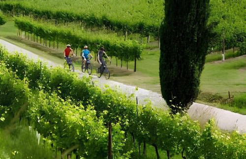 Ginetta 2 - Prosecco Hills Holidays - Foto 19