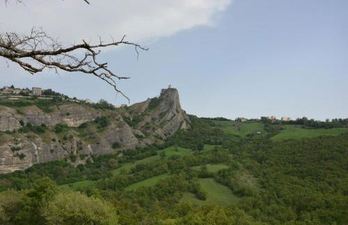 The Flowers' House - Photo 55