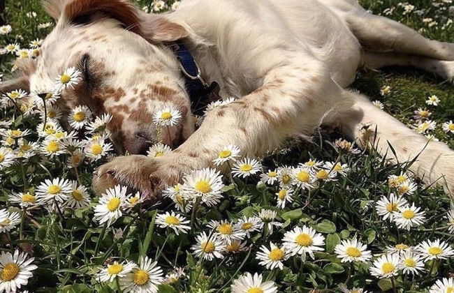 Setter House Agri Hotel - Foto 69