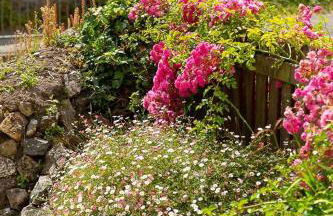 Charlestown cottage, Woodburner, Gardens & Parking - Foto 27