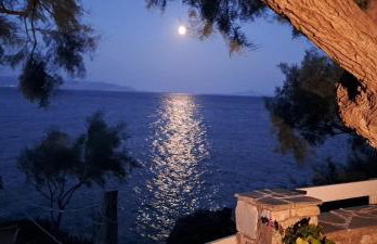 Dinas Inn - Photo 58