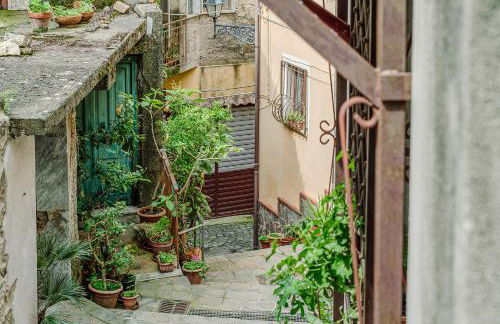 Mary's House - Photo 65