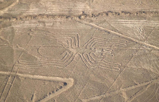 Vuelo sobre las Líneas de Nazca - Foto 3