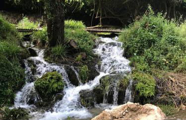 El Almendro de Fuentes Nuevas - Foto 52
