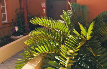 La Casa Canaria - Foto 12