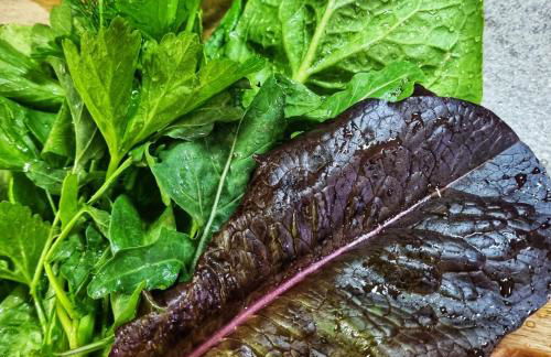 Infinity Wellness Apartment Hotel - Foto 122