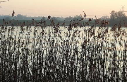 MOIN, MOIN & AHOI! - Foto 60
