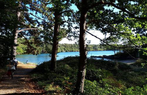 Gite de Beg Menez Le 14 - Gite à la Forêt Fouesnant - Foto 20