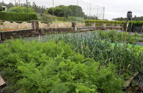 Casa Nunes - Foto 21