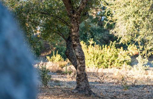 Lupine Landing - Foto 50