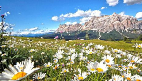 Ciasa Rosra - Foto 4