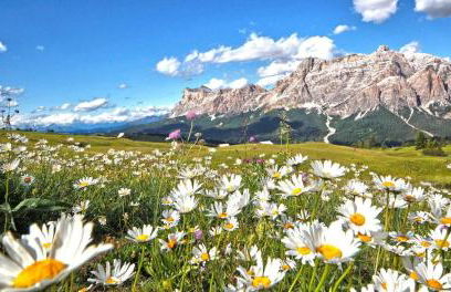 Ciasa Rosra - Foto 4