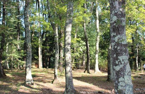 Villa La Casa Bianca - Foto 17