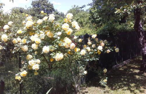 A fine 2 bedroom stone house in Emila - Photo 60