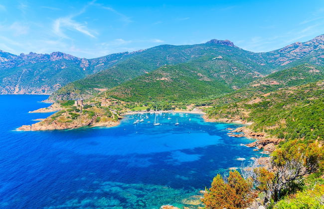 Corsica Paradise - Photo 40