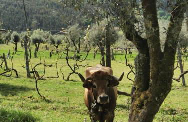 Vila Campo - Foto 39