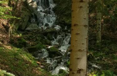 Góralski dom w Parku Krajobrazowym - Foto 17