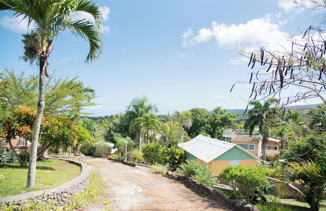 Las Mariposas - Foto 63