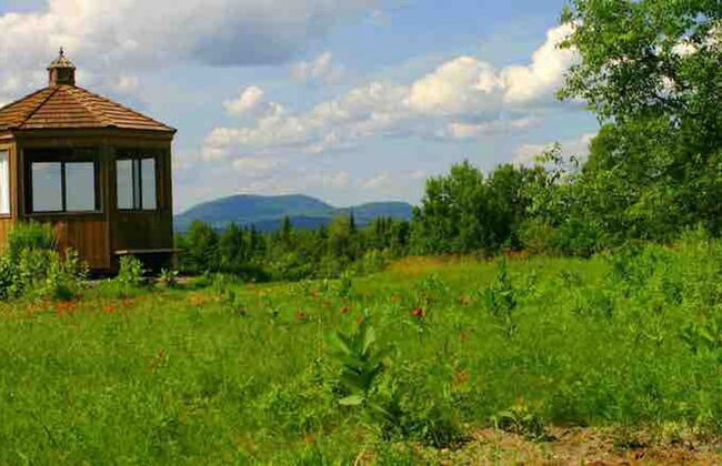 Relaxing Nature Retreat Perfect for Large Groups - Foto 65