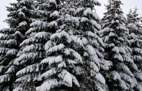 CityNest und Auszeit - Zwei Ferienwohnungen, ein Standort - Ideal für Paare und Familien mit Kleinkind - Foto 34