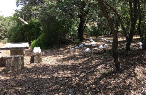 Casas Rurales La Loma Del Carrascal - Foto 45