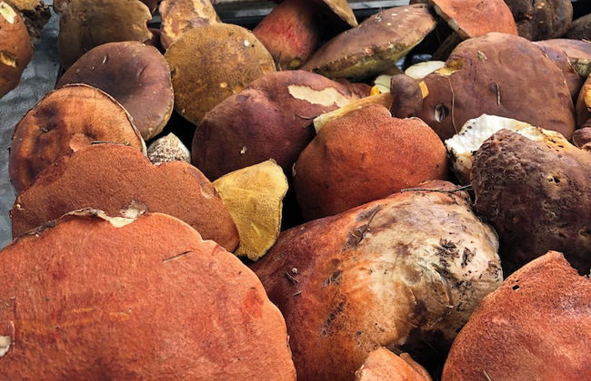 Charming 3-bed Villa in Lipno nad Vltavou - Photo 19