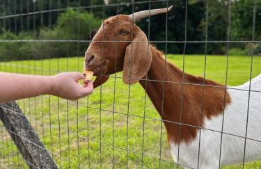 Hospedagem Zilz - Foto 34